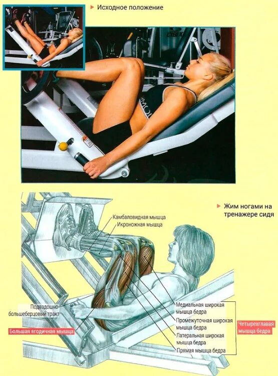 Постановка ног при жиме ногами в тренажере. Жим ногами лежа вертикальной платформы. жим платформы ногами широкая постановка ног. жим ногами в горизонтальном тренажере сидя.