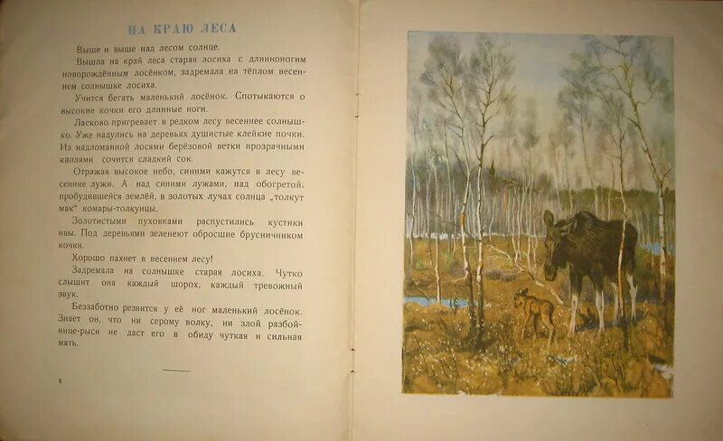 Ленточный сосновый бор в алтайском крае. Вышла на край леса. Лес сосновый бор алтайский край. Центральная усадьба таганай златоуст. Вышла на край леса.