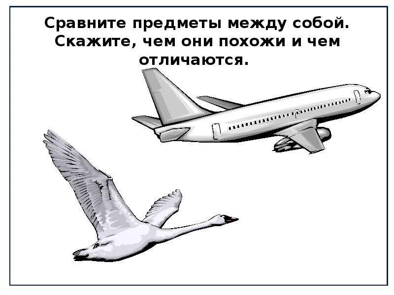 Сравнение 2 птиц. Сравнивать 2 вещи между собой. Сравнить два предмета. Сравнивать 2 вещи между собой картинка. Птица и самолет отличия.