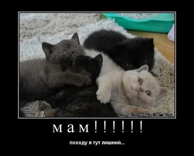 Лишней тут была три часа