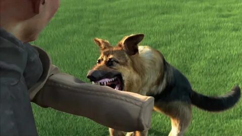Animal trainer simulator