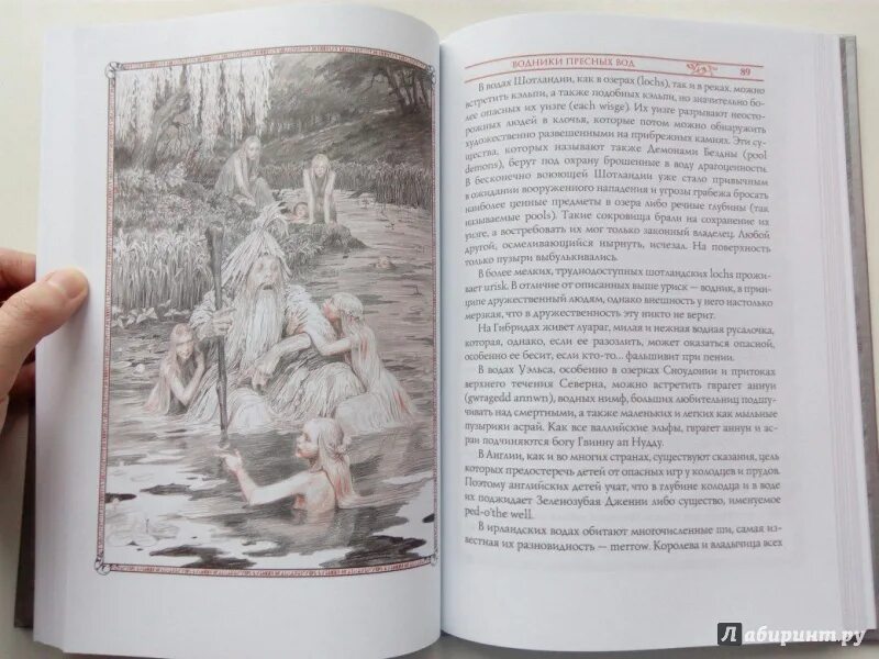 Создания света создания тьмы. Анджей сапковский бестиарий. бестиарий света тьмы сапковский. книга бестиарий сапковского. иллюстрации к книге анджей сапковский - бестиарий.