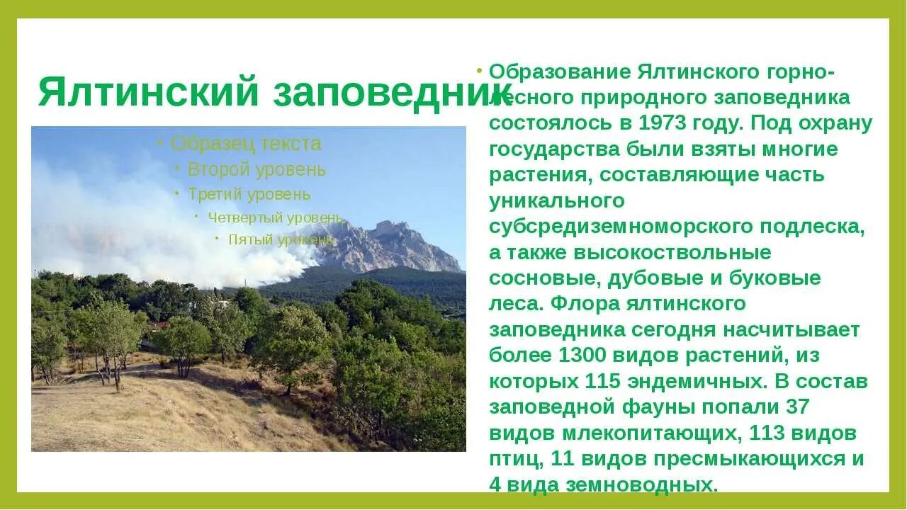 Как называется заповедник который расположен. Рассказ о заповеднике крыма. ялтинский горно лесной заповедник в крыму. крымский заповедник охраняемые территории. сообщение на тему заповедники крыма.