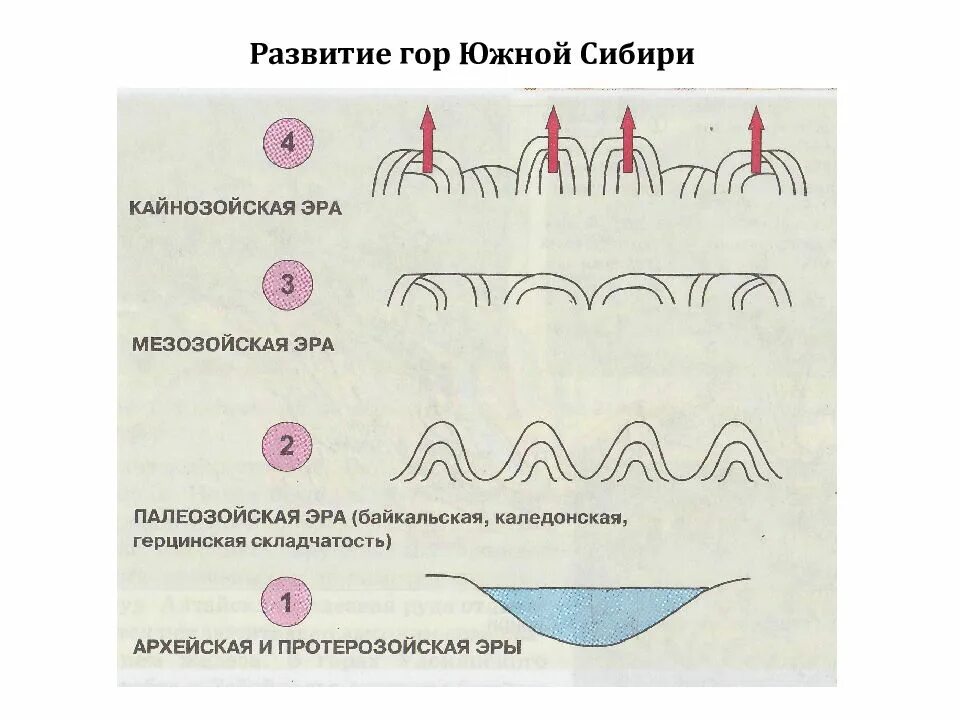 Границы гор южной сибири. Развитие гор Южной Сибири. Горы Южной Сибири Геология. История геологического развития Южной Сибири. История геологического развития гор Южной Сибири.