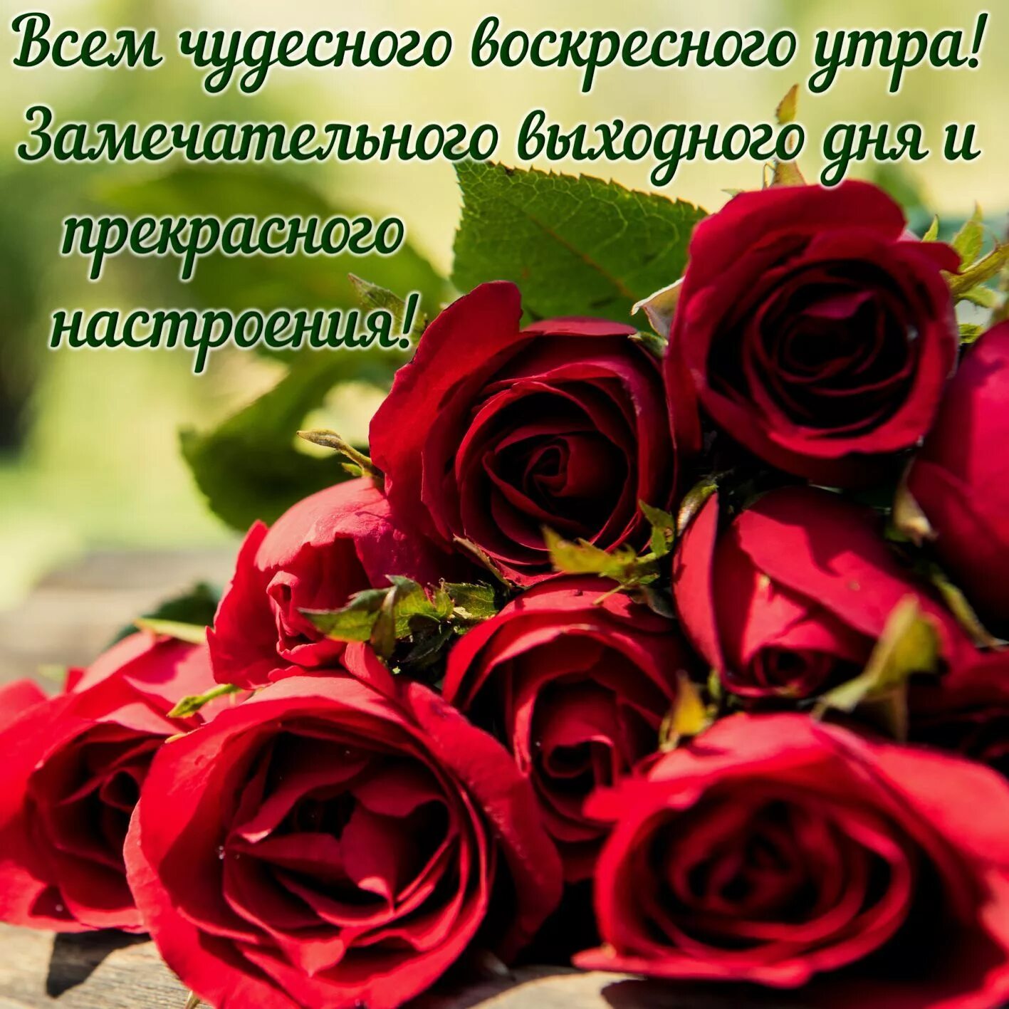 Воскресные пожелания в картинках. Открытки с добрым воскресным утром. Пожелания с добрым воскресным утром. Пожелания доброго воскресного дня. Открытки с воскресным днем.