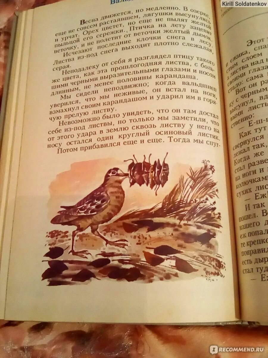 Пришвин еж читать полностью весь текст. Пришвин еж читать полностью весь текст
