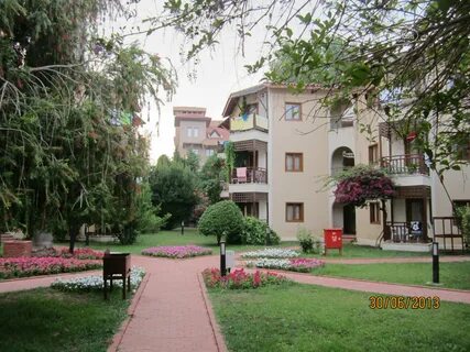 Ex gardens