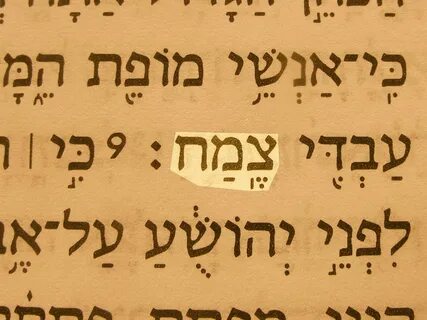 Hebrew