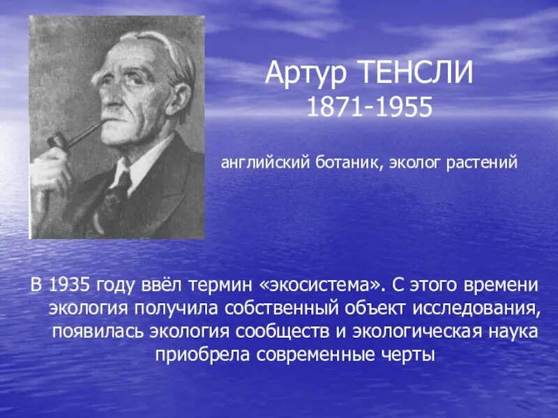 В каком году был предложен термин