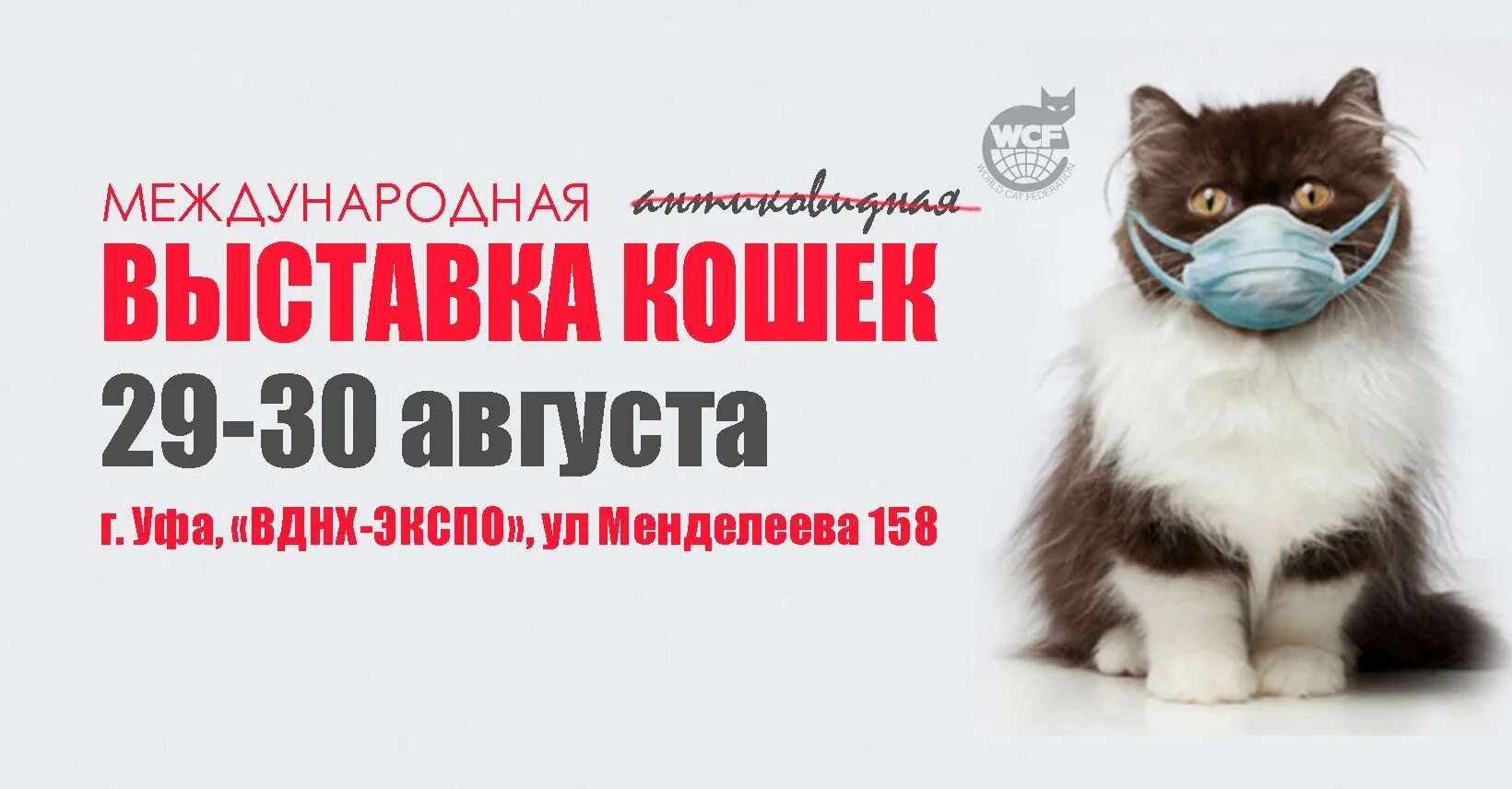 Выставка кошек экспо