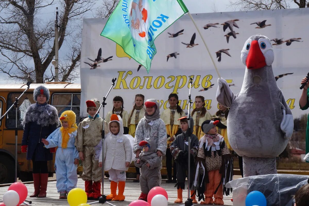 Гуси в кологриве. День гуся кологрив костромская область. праздник гуся в кологриве. день гуся в кологриве 2025. кологривский гусь кострома.