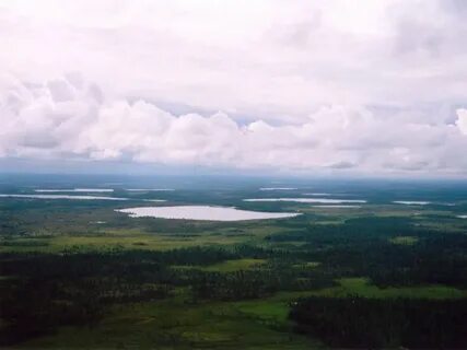Туруханский край
