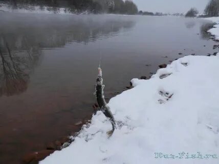 Спиннинг москва река