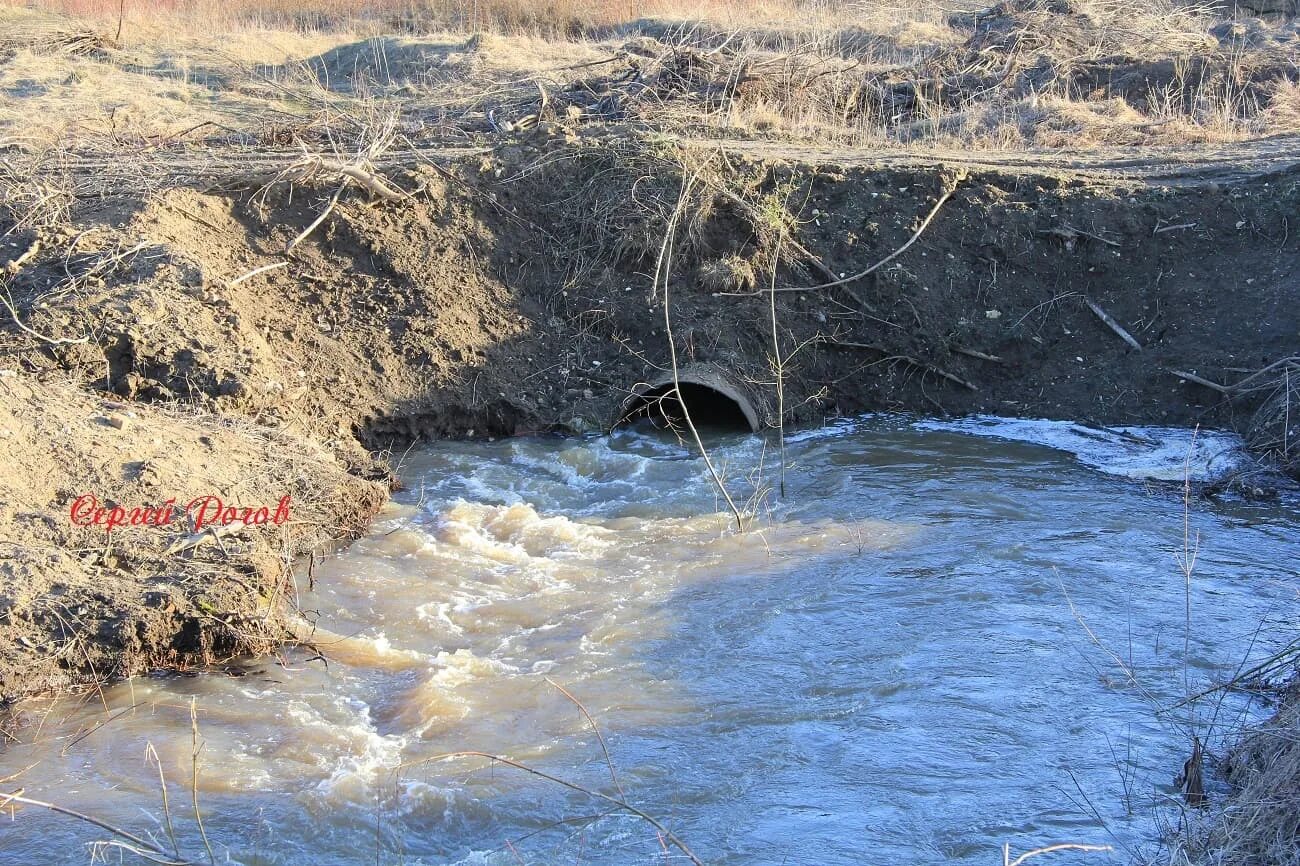 Озера разлив Оки. Озеро водяного. Разлив Оки 2023. Озёры Московской области разлив Оки.