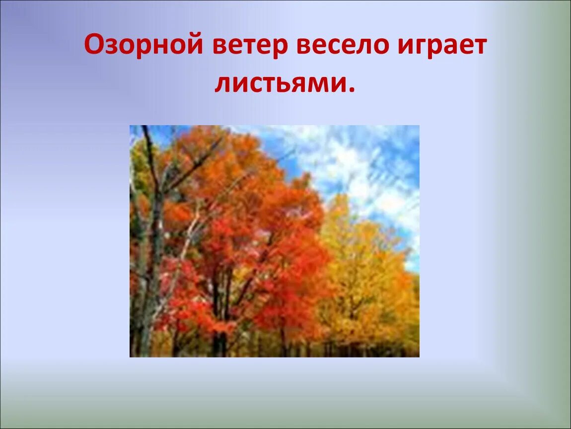 Осенний ветер весело играет с листьями деревьев. Ветер лексическое значение. ветер ветер озорной. русский язык проект о слове ветер. ветер лексическое значение 3 класс русский язык.