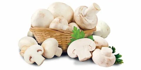 Какой продукту грибы
