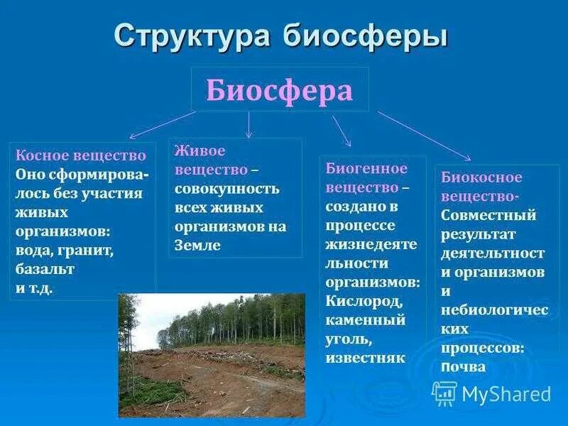Биосфера земли функции. Биосфера состав и строение. структура вещество границы биосферы. структурные компоненты био. структурные компоненты биосферы.