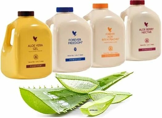 Forever aloe vera. Forever Living products алоэ.