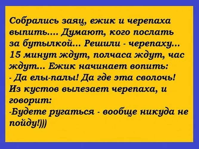 Совсем не пойду. Анекдот про череп. анекдот про черепаху. анекдоты про черепах. анекдот а будете ругаться вообще никуда не пойду.