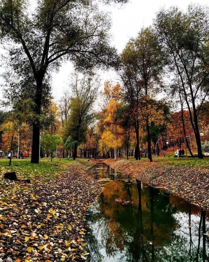 Куз воронеж. Парк Воронеж СХИ осень. Осенний парк Динамо Воронеж. Воронеж парк Глинки осень. Парк Динамо Воронеж осень.