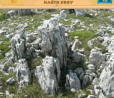 Задание серая