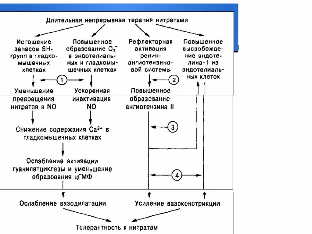 Классификация средств применяемых при коронарной недостаточности. Классификация средств при недостаточности кровообращения. Препараты при острой коронарной недостаточности. Препараты, применяемые при коронарной недостаточности.