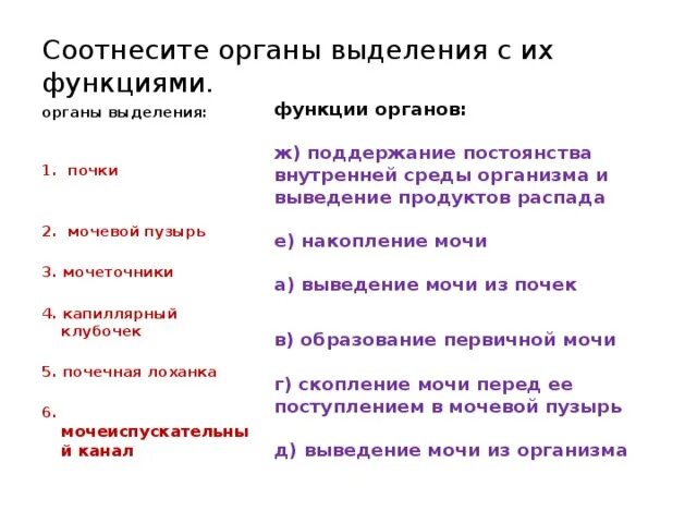 Система органов выделения функции. Органы выделения их строение и функции. Строение органов выделения таблица. Функции органов выделения человека.