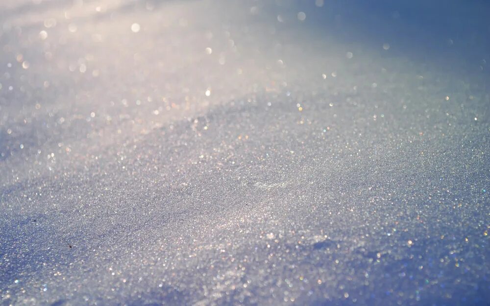 Серебристым снежным. Снег искрится на солнце. Искрящийся снег. Иней блестел на снегу серебряными искрами. Искристый снег на ветках.