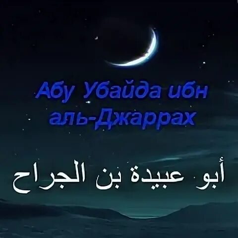 Абу убайда аль джаррах. Абу Убайда ибн Аль-Джаррах. Абу Убайда ибн Аль-Джаррах история жизни. Саид ибн Зайд. Абу Убайда ибн Аль-Джаррах цитаты.