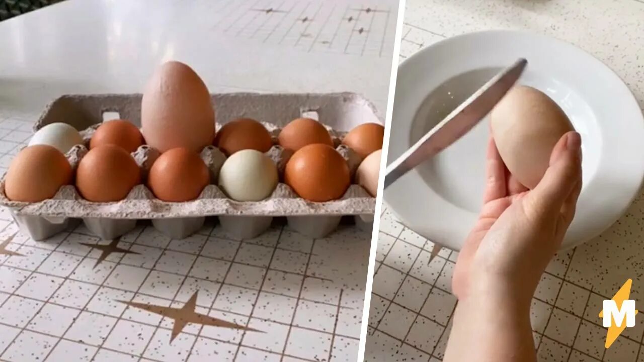 Курица снесла большое яйцо. Яйцо гиганта. Разрушить яйца