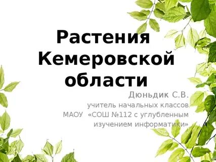 Растения кемеровской