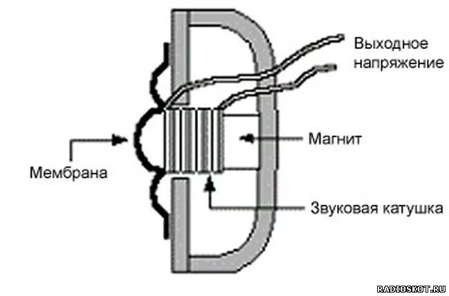 Диафрагма микрофона. Динамический катушечный микрофон схема. устройство конденсаторного микрофона схема. конструкция и принцип действия конденсаторного микрофона. принцип работы микрофона схема.