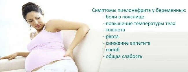 Пиелонефрит у беременных симптомы. Пиелонефрит и беременность презентация. Sakit. Тошнота озноб боль в пояснице. Основные дизурические симптомы.
