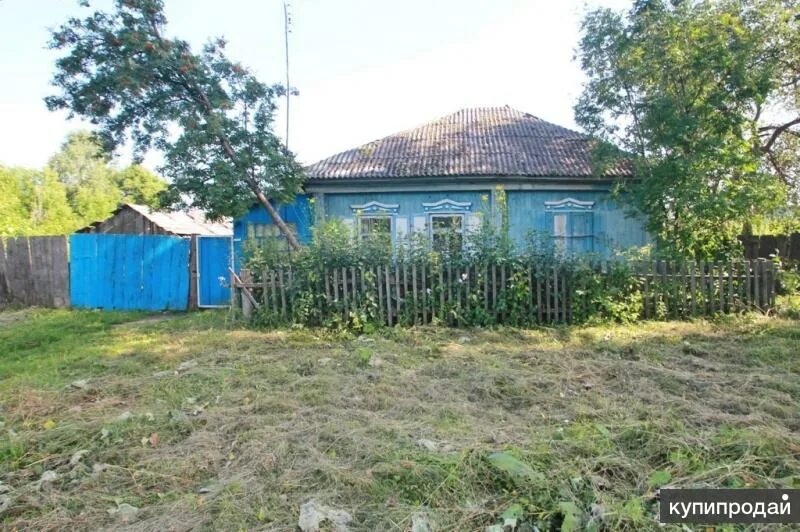 Беркут село тюмень. Погода в беркуте ялуторовского. Беркут село тюмень. Новоатьялово ялуторовский. Погода в беркуте ялуторовского.