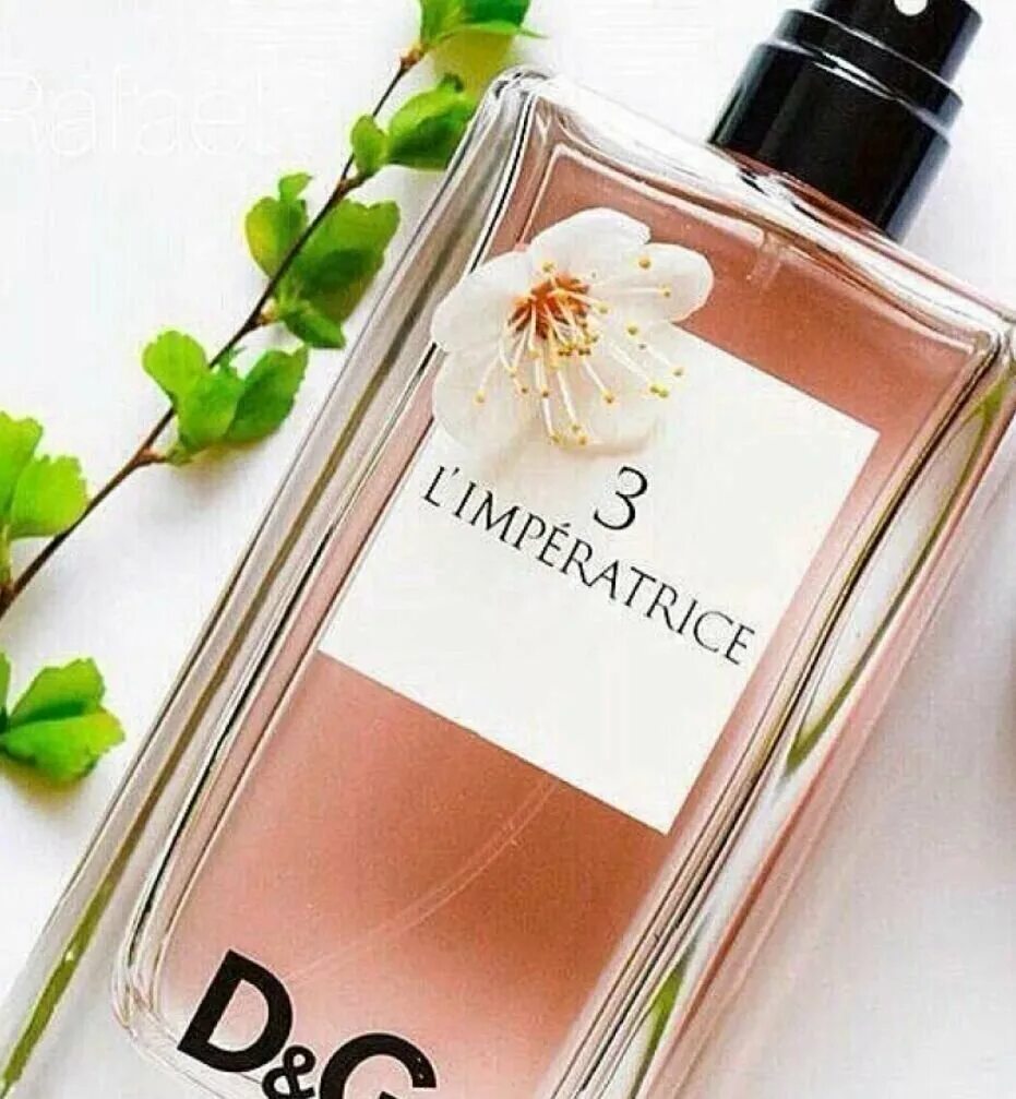 Dolce gabbana l'imperatrice 100. L imperatrice туалетная вода 100 мл. Dolce gabbana 3 l imperatrice 100 ml. G anthology l imperatrice 3. G anthology l imperatrice 3.