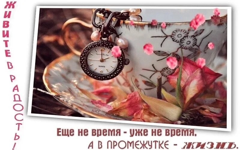 Ее время находится. Открытка время. не спешите жить не торопите время. цените время. нельзя все время спешить мы перестаем замечать жизнь.