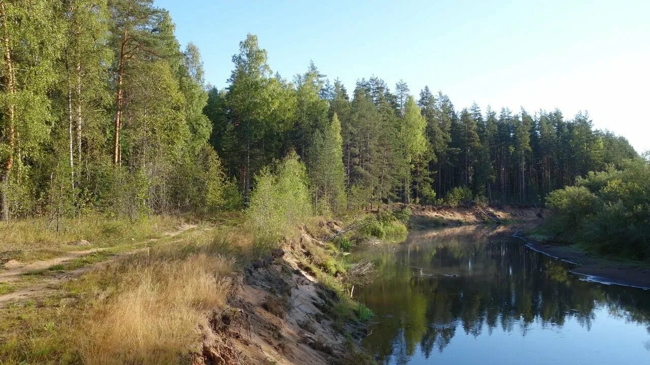 Пестово река. Пестово устюжна. Река молога пестово. Пестово. Пестово река.