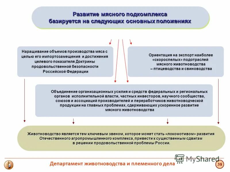задачи в племенном животноводстве. задачи сельского хозяйства. растениеводство цели и задачи. задачи развития животноводства. цели и задачи государственных программ.