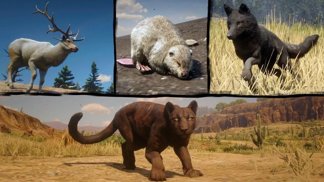 Panther rdr2. Пантера РДР 2. Rdr 2 Legendary Panther. Пантера ивакта.