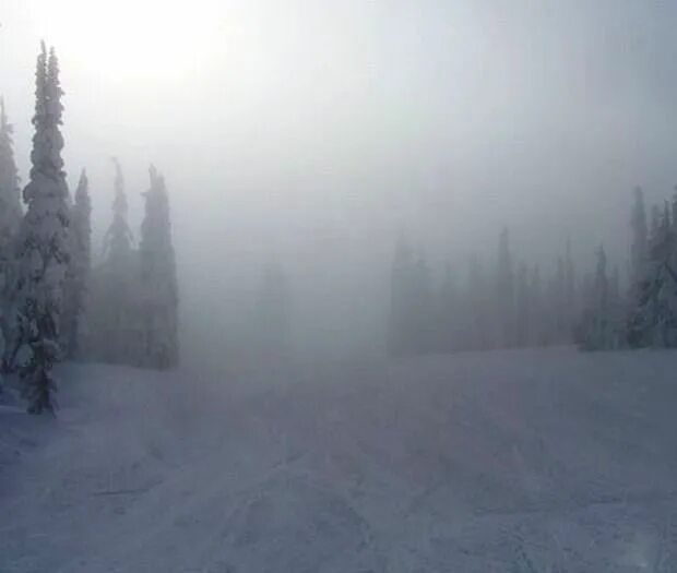 тусклое зимнее солнце. в зимнем тумане встаёт холодное тусклое солнце. хмурое зимнее утро. рассвет в зимнем лесу. утро туман.