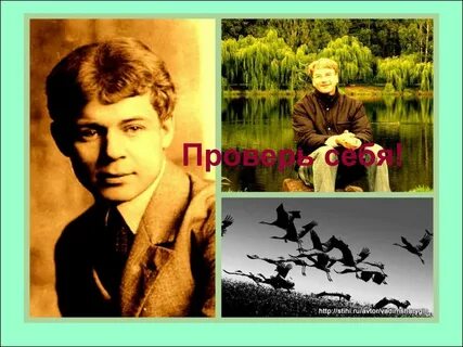 Рост есенина