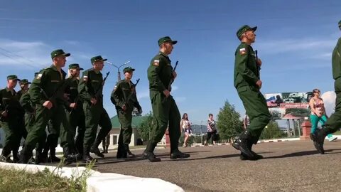 Песчанка чита