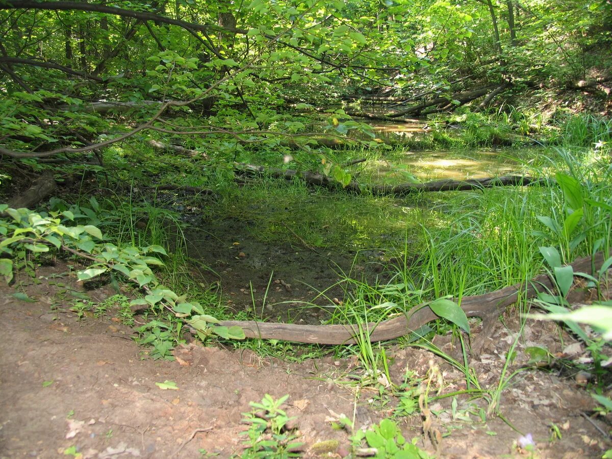 Село ега самарская область. Село ега самарская область. Река шилан самарская область. Село ега самарская область. Село большая ега самарская область.
