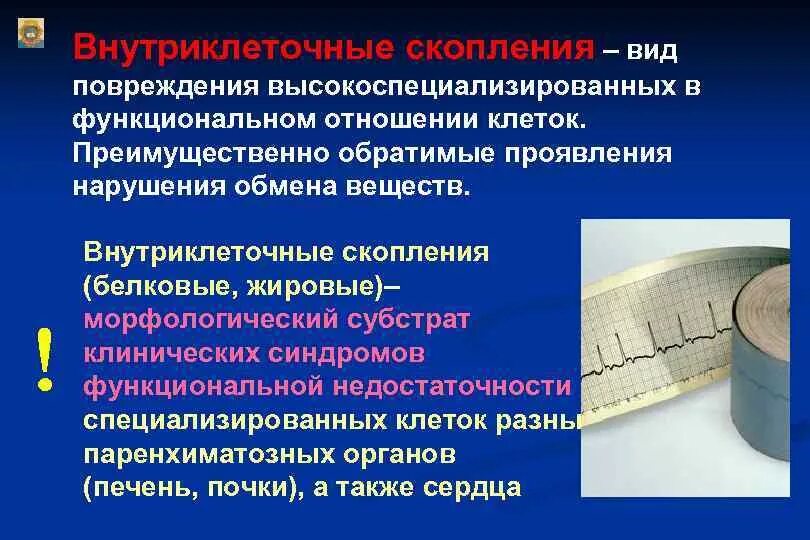 Функциональные проявления повреждения клеток. Нарушение обмена в клетках. Нарушения обмена веществ в клетках и тканях. Функциональные признаки повреждения клетки.