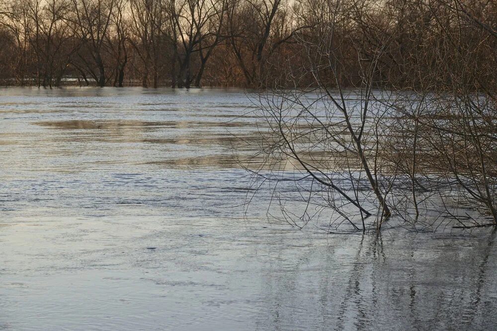 Весенний разлив реки Шерна. Разлив угры в Калуге. Паводок Угра. Половодье 2011 Угра.
