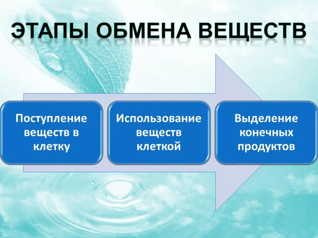 Три этапа обмена. Обмен веществ это процесс. Этапы обмена веществ. Обмен веществ презентация. Обмен веществ и энергии презентация.