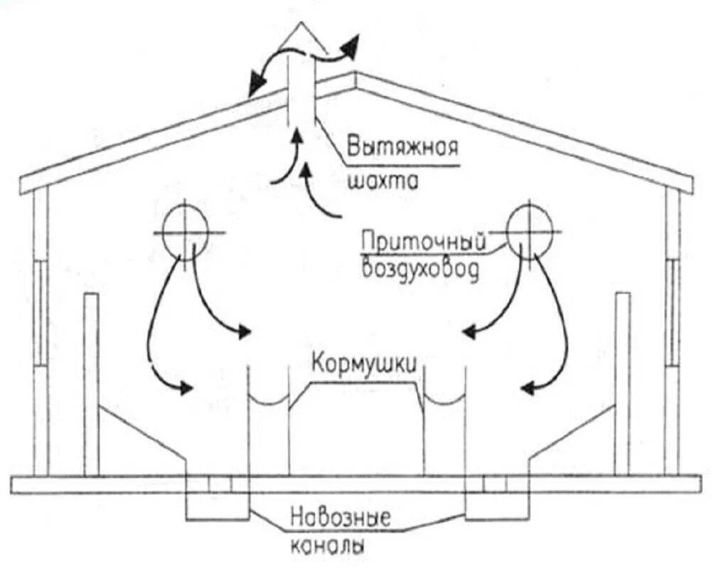 Как содержать нутрий в домашних условиях зимой и летом