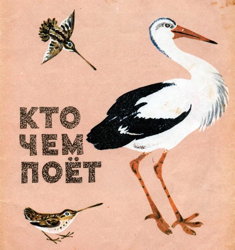 Кто чем поет бианки читательский. Бианки в.в. "кто чем поет?". Обложка книги кто чем поёт.