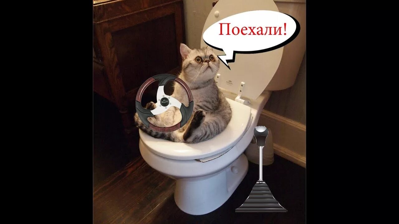 Видео смешных котят до слез. Смешные коты до слез. приколы с котами до слёз. приколы с котами с озвучкой до слёз. смешные коты с озвучкой до слёз.