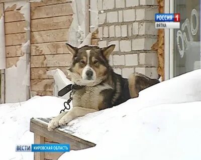 Добро киров